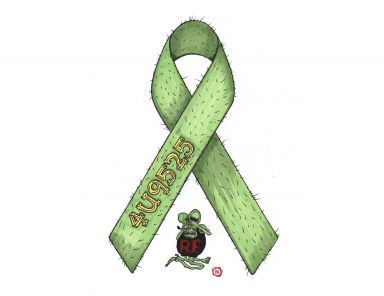 #14 Germanwings 9525 Fink