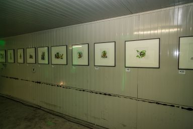 Rat Fink Vernissage Garmisch Bild #24